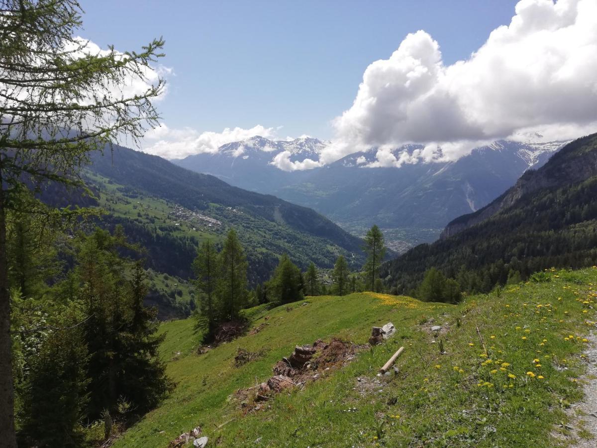 Waldrand *